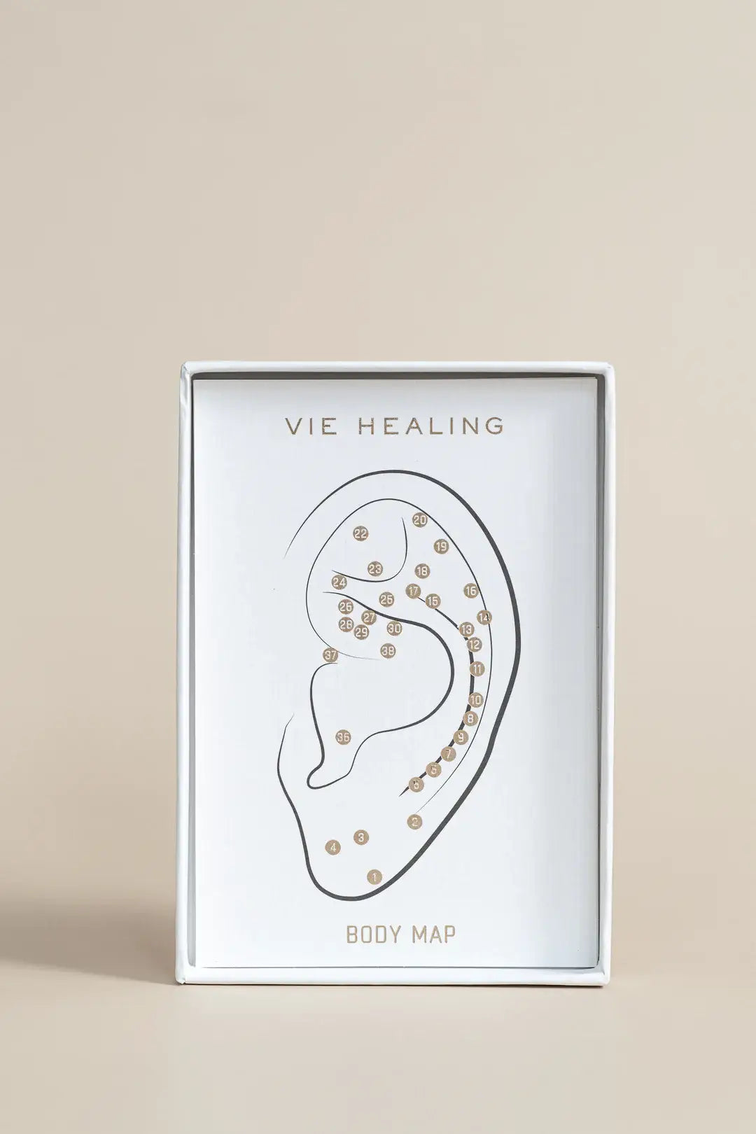 The Foundations Kit (24k Gold Ear Seeds)