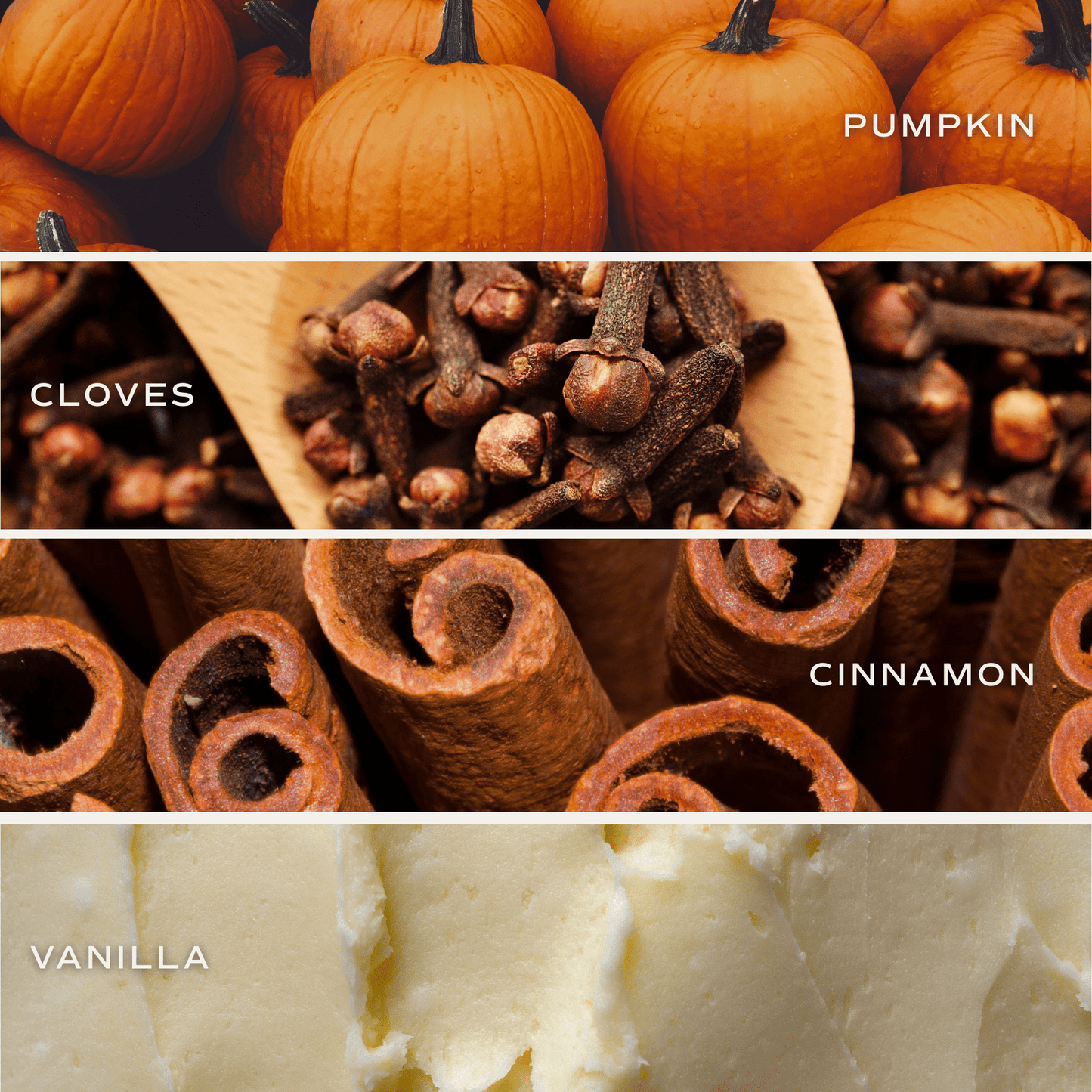 *NEW* Pumpkin Spice 12 oz Boxed Soy Candle - Fall Decor