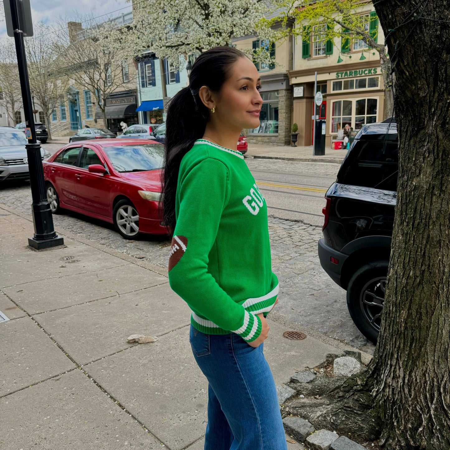 Philadelphia Eagles - Go Birds Crew Neck Sweater