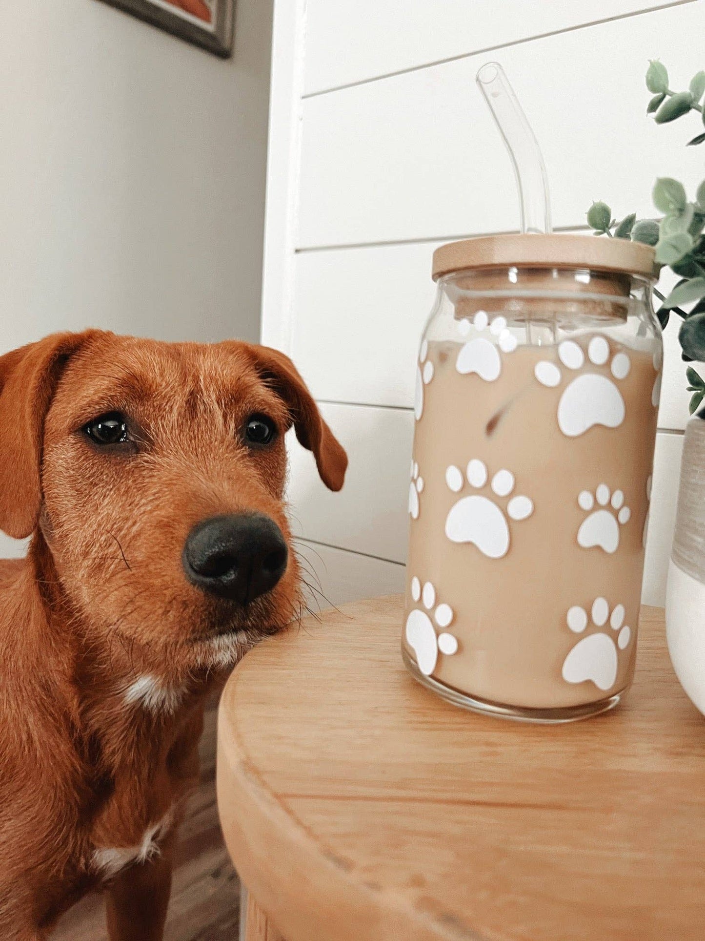 Paw Print Glass