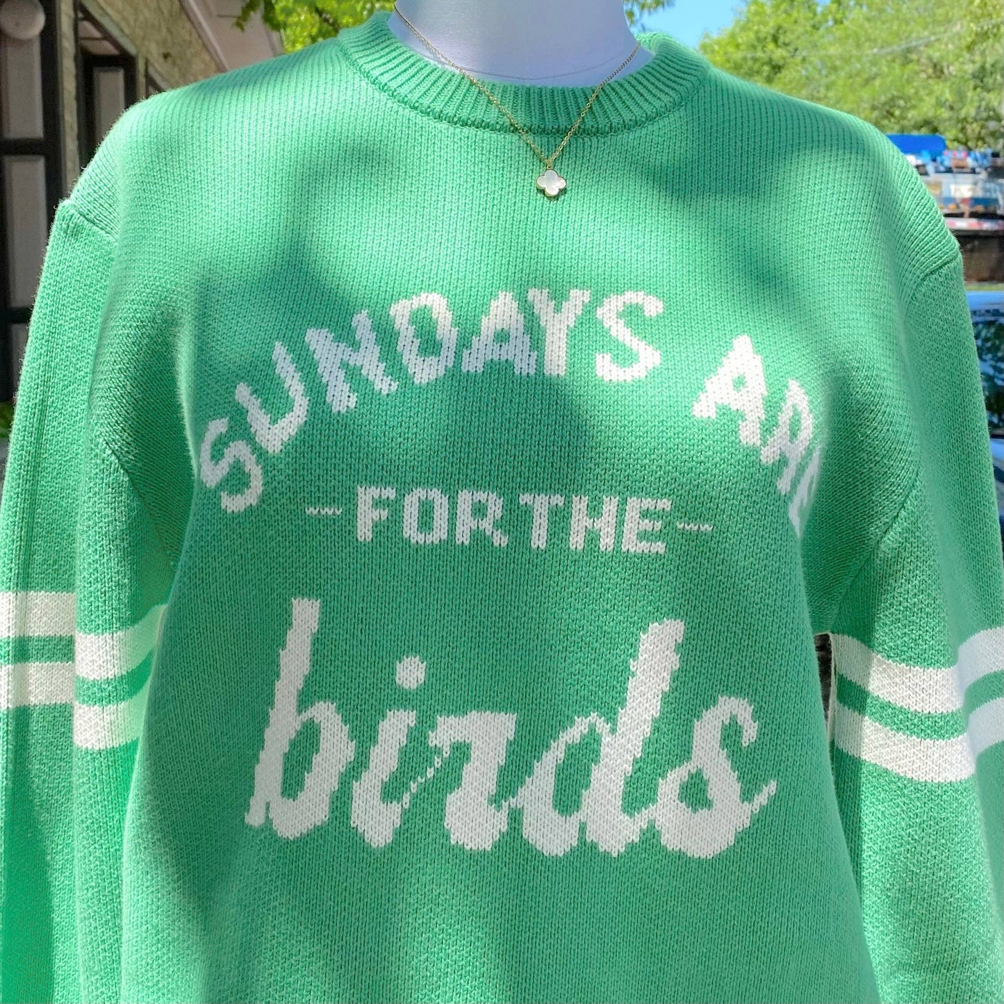 Philadelphia Eagles "Sundays Are For The Birds"  Knit Sweater