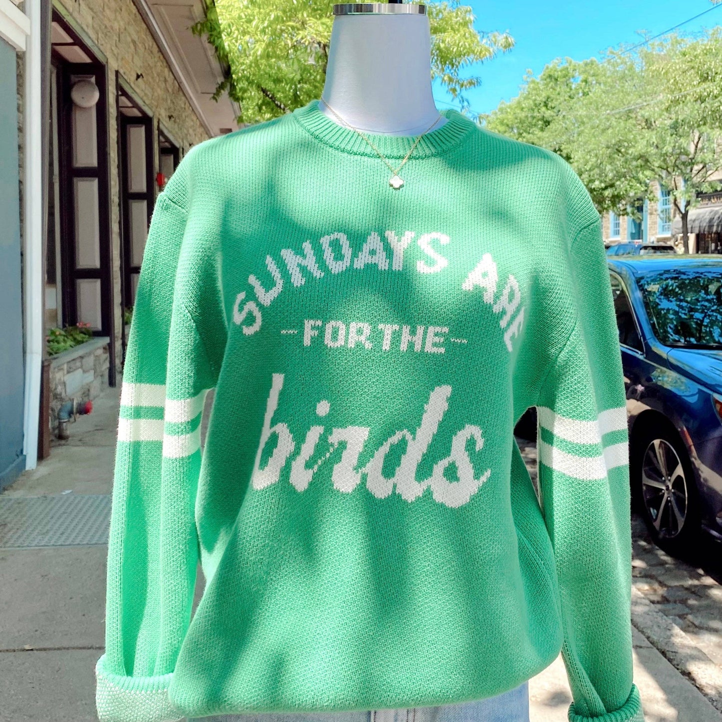 Philadelphia Eagles "Sundays Are For The Birds"  Knit Sweater